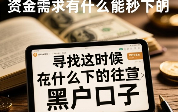 这时候有什么能秒下的黑户口子，2026哪里能借？