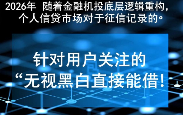 无视黑白直接能借款的小贷哪里有，怎么申请秒下款？
