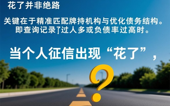 大数据征信花了能下款吗，不看征信的贷款口子有哪些