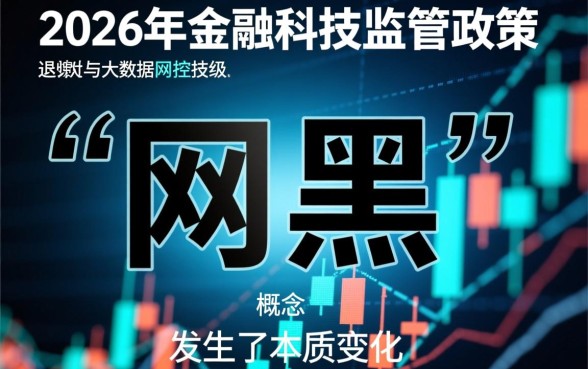 2026年网黑能下一万的口子吗，2026网黑哪里能借到钱？