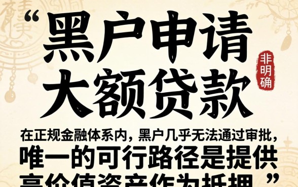黑户能借的大额贷款有哪些，黑户哪里能贷到大额资金