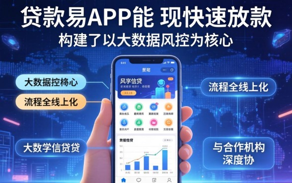 为什么贷款易app能快速放款，贷款易app放款快的原因是什么