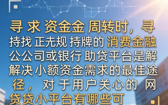 网贷小平台有哪些可以借款，正规小额贷款哪个容易下款？