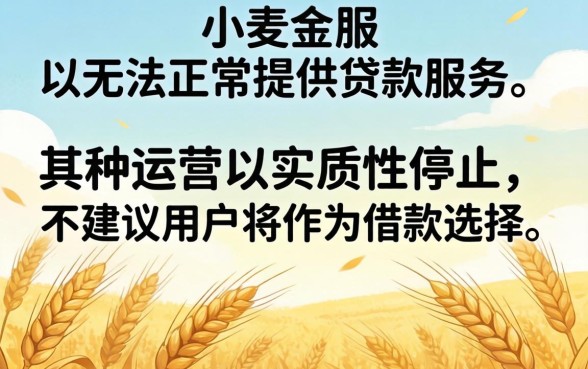小麦金服现在还能成功下款吗，小麦金服下款需要什么条件