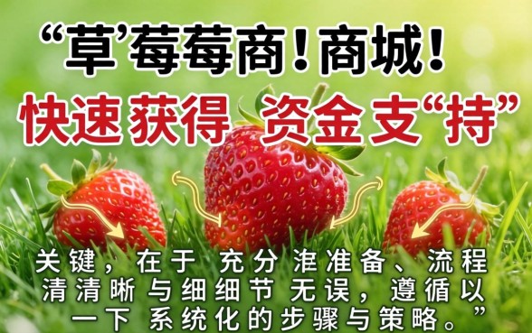 如何在草莓商城快速申请下款？草莓商城下款需要什么条件？