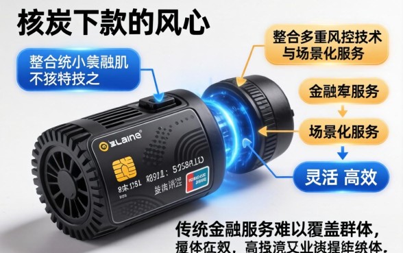 大黑炭下款究竟有何独特之处，大黑炭下款快吗安全靠谱真实体验分享