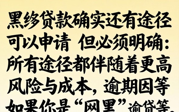 网黑贷款还有途径可以申请吗？网黑贷款申请渠道有哪些