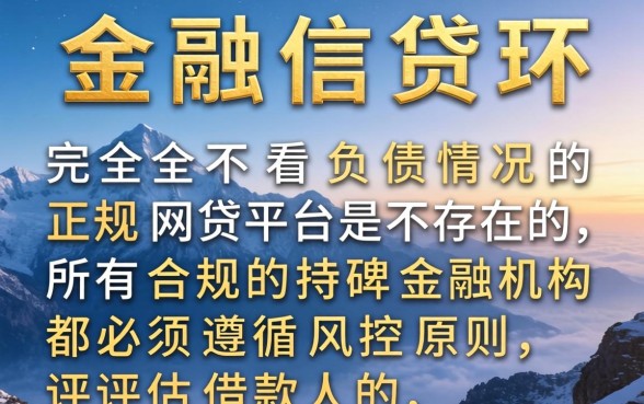 哪个网贷平台不看负债情况，负债高怎么申请容易下款